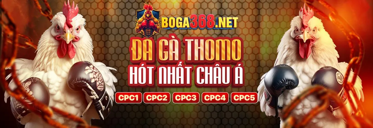 Đá gà nbet app trực tuyến