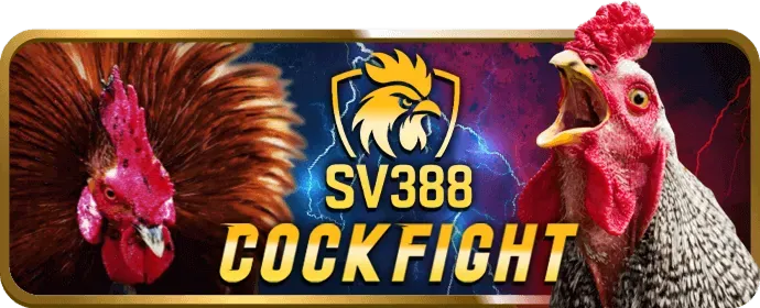 Dealer chuyên nghiệp tại nbet app Live Casino