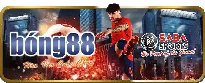 Hỗ trợ khách hàng và FAQ của nbet app